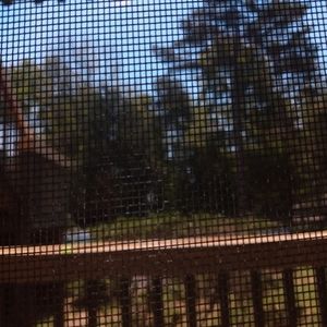 Meet your Posher, Boss